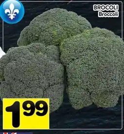 Supermarché PA BROCOLI | Broccoli offer