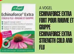 Marches Tau A VOGEL ECHINAFORCE EXTRA FORT POUR RHUME ET GRIPPE offer