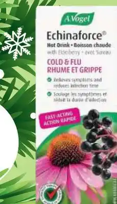 Marches Tau A VOGEL ECHINA FORCE BOISSON CHAUDE POUR RHUME ET GRIPPE offer