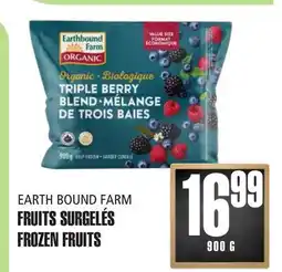 Marches Tau FRUITS SURGELÉS EARTH BOUND FARM offer