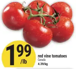 Marché Adonis Red vine tomatoes offer