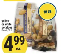 Marché Adonis yellow or white potatoes offer