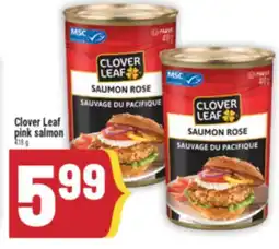 Marché Adonis Clover Leaf pink salmon offer