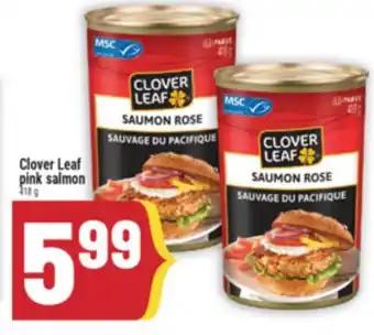 Marché Adonis Clover Leaf pink salmon offer