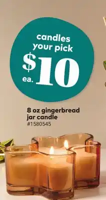 Giant Tiger 8 oz gingerbread jar candle offer