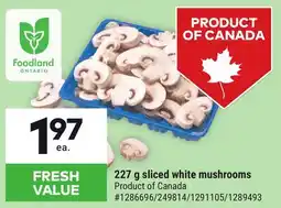 Giant Tiger 227 g sliced white mushrooms offer