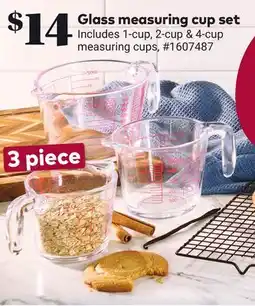 Giant Tiger Glass measuring cup set offer