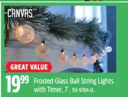 Canadian Tire CANVAS Frosted Glass Ball String Lights with Timer offer