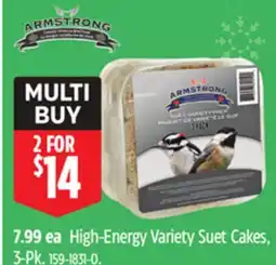 Canadian Tire Armstrong High-Energy Variety Suet Cakes offer