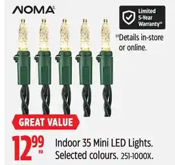 Canadian Tire NOMA Indoor 35 Mini LED Lights offer