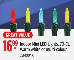 Canadian Tire Noma Indoor Mini LED Lights, 70-Ct offer
