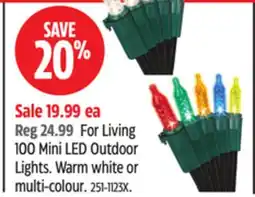 Canadian Tire For Living 100 Mini LED Outdoor Lights offer