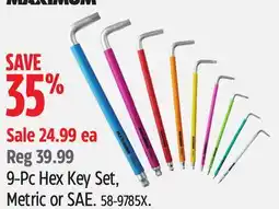 Canadian Tire Maximum 9-Pc Hex Key Set, Metric or SAE offer