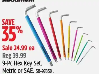 Canadian Tire Maximum 9-Pc Hex Key Set, Metric or SAE offer