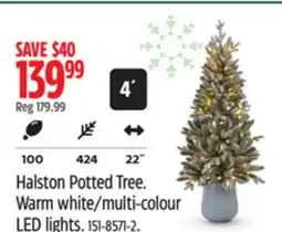 Canadian Tire NOMA Halston Potted Tree offer