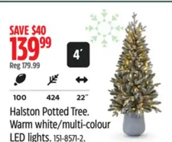 Canadian Tire NOMA Halston Potted Tree offer