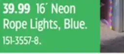 Canadian Tire Noma 16´ Neon Rope Lights, Blue offer