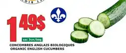 Marches Tau CONCOMBRES ANGLAIS BIOLOGIQUES offer