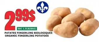 Marches Tau PATATES FINGERLING BIOLOGIQUES offer