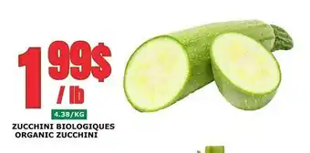 Marches Tau ZUCCHINI BIOLOGIQUES offer