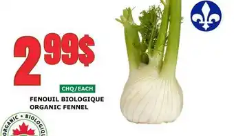 Marches Tau FENOUIL BIOLOGIQUE offer