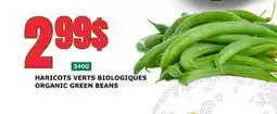 Marches Tau HARICOTS VERTS BIOLOGIQUES offer