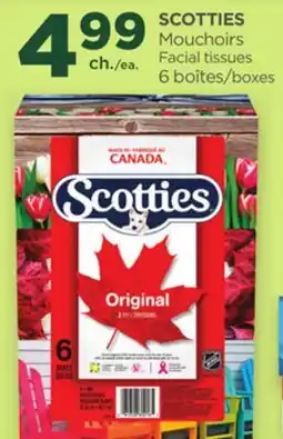 Proxim SCOTTIES Mouchoirs | Facial tissues offer