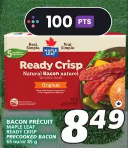 IGA MAPLE LEAF READY CRISP PRECOOKED BACON offer