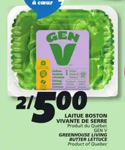 IGA GEN V GREENHOUSE LIVING BUTTER LETTUCE offer