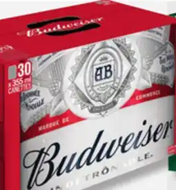 IGA BUDWEISER BEER offer