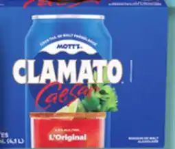 IGA CLAMATO CAESAR ALCOHOLIC MALT BEVERAGE offer