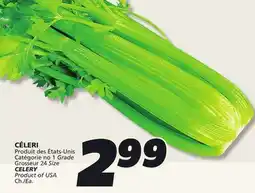 IGA CELERY offer