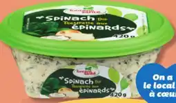 IGA FONTAINE SANTÉ HUMMUS, SPREAD OR DIP offer