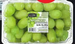 IGA SEEDLESS PREMIUM GREEN GRAPES offer