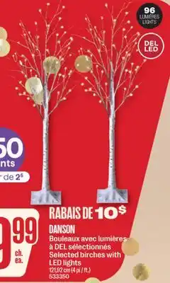 Jean Coutu DANSON Selected birches with LED lights offer