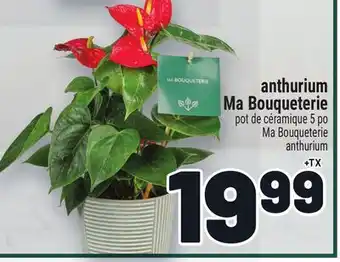Metro ANTHURIUM MA BOUQUETERIE | MA BOUQUETERIE ANTHURIUM offer