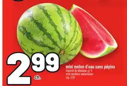 Metro MINI MELON D'EAU SANS PÉPINS | MINI SEEDLESS WATERMELON offer