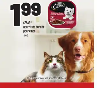 Metro CESAR NOURRITURE HUMIDE POUR CHIEN offer