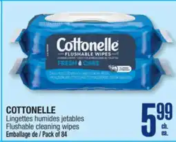 Jean Coutu humides Flushable cleaning wipes offer