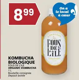 Rachelle-Bery Grocery FOUS DE L'ILE ORGANIC KOMBUCHA offer