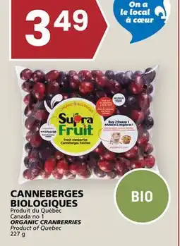 Rachelle-Bery Grocery ORGANIC CRANBERRIES offer