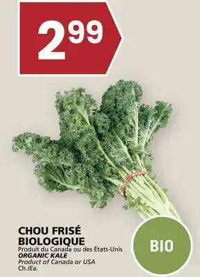 Rachelle-Bery Grocery ORGANIC KALE offer