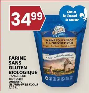 Rachelle-Bery Grocery L'ANGÉLIQUE Tout usage ORGANIC GLUTEN-FREE FLOUR offer