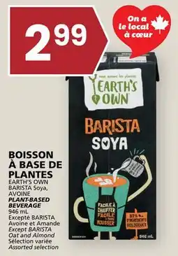Rachelle-Bery Grocery EARTH'S OWN BARISTA Soya, AVOINE PLANT-BASED BEVERAGE offer