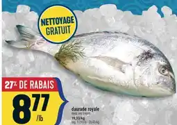 Marché Adonis DAURADE ROYALE | ROYAL SEA BREAM offer