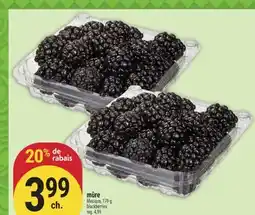 Marché Adonis MÛRE | BLACKBERRIES offer