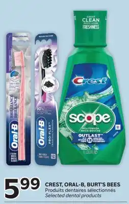 Brunet CREST, ORAL-B, BURT'S BEES Produits dentaires sélectionnés offer