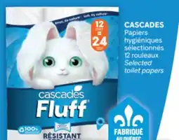 Brunet CASCADES Papiers hygiéniques sélectionnés offer