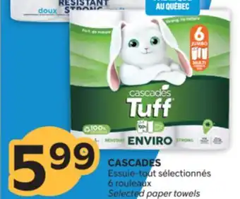 Brunet CASCADES Essuie-tout sélectionnés offer