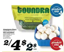 Marché Richelieu CHAMPIGNONS BLANCS | WHITE MUSHROOMS offer